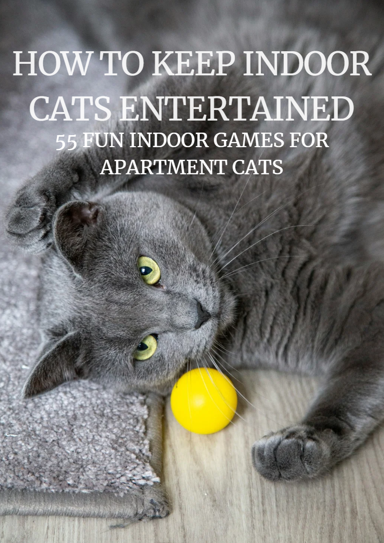 Guides For Pet Owners