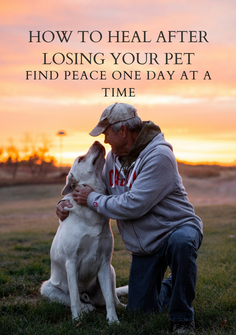 How To Heal After Losing Your Pet